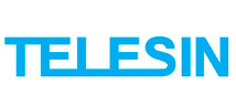 Telesin